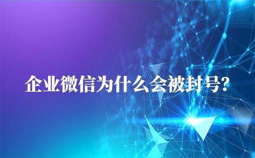 企業(yè)微信為什么會被封號