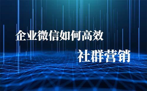 如何利用企業微信高效玩轉社群