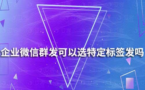企業微信群發可以通過選擇特定標簽發嗎