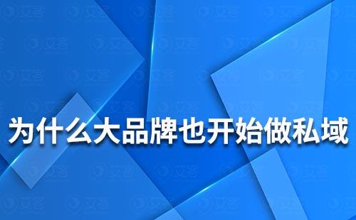 為什么大品牌都開(kāi)始搶著做私域