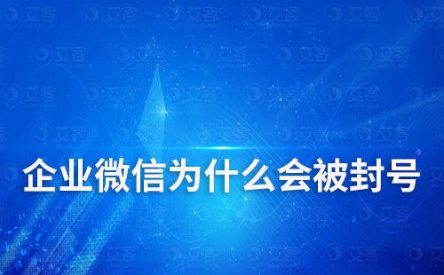 企業微信為什么會被封號