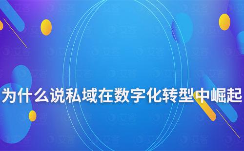 為什么說私域在數(shù)字化轉型中崛起