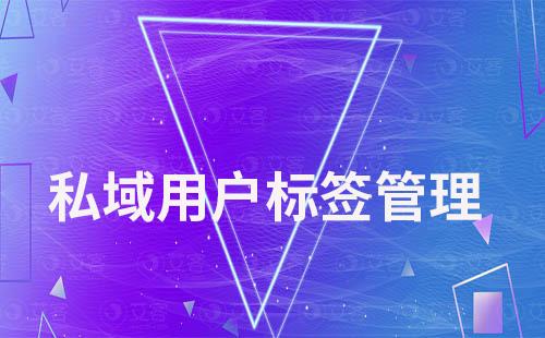私域運營如何做好用戶標簽化管理