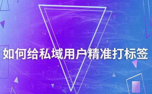 如何給私域用戶精準(zhǔn)打標(biāo)簽