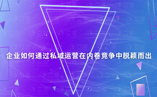 企業(yè)如何通過私域運營在內(nèi)卷競爭中脫穎而出
